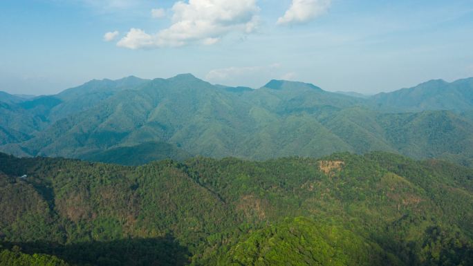 【4k】茶山光影移动