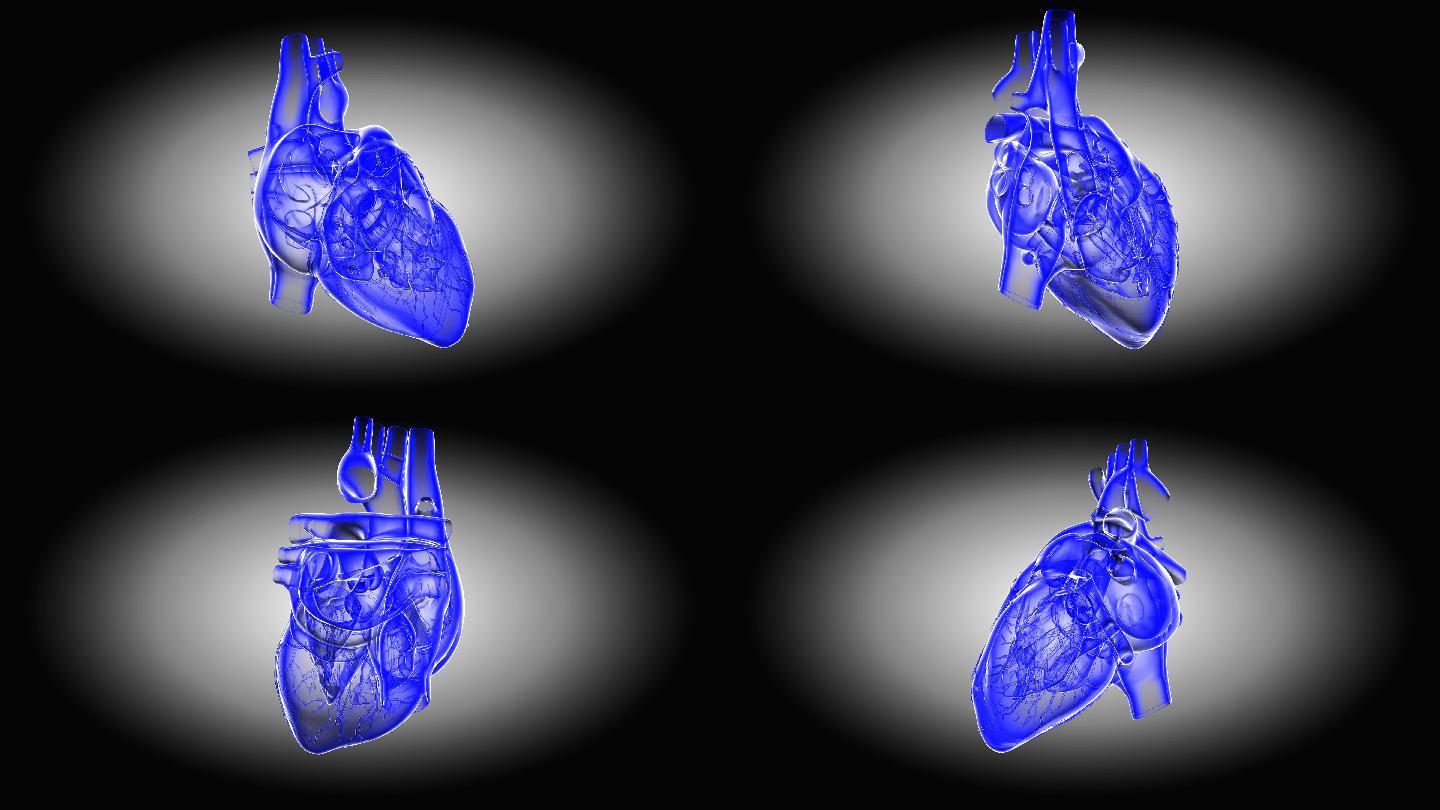 心跳模拟剖析图