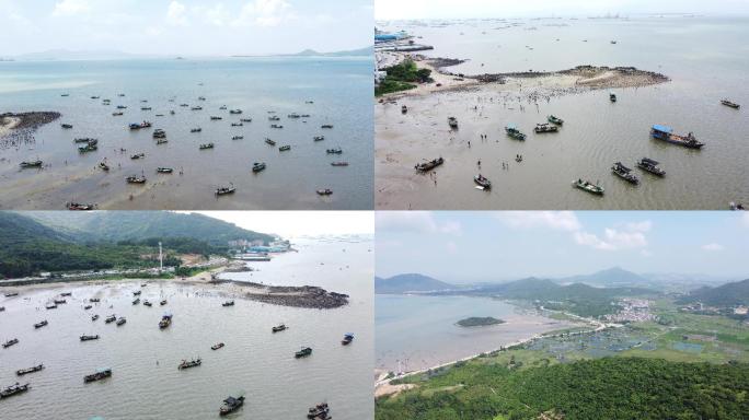渔民赶海淘海鲜海边生活海岸线阳江海滩