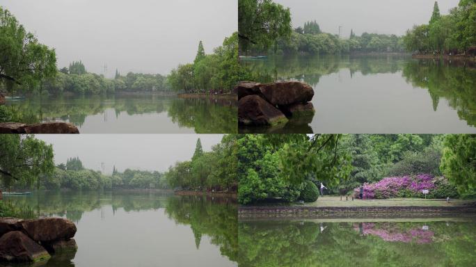 4K春天雨后公园远景素材