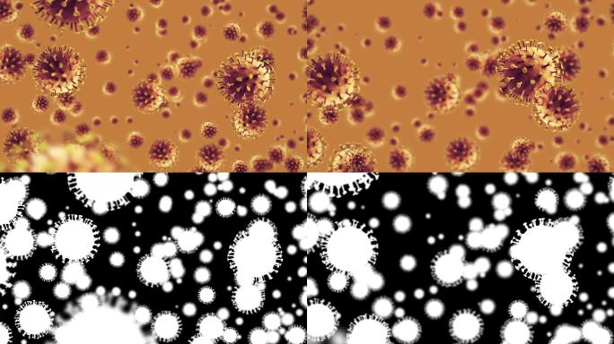 细菌特写α通道病毒传播复制分裂红细胞