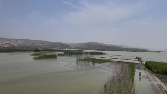 航拍自然生态湖湿地环保湖泊湖水C