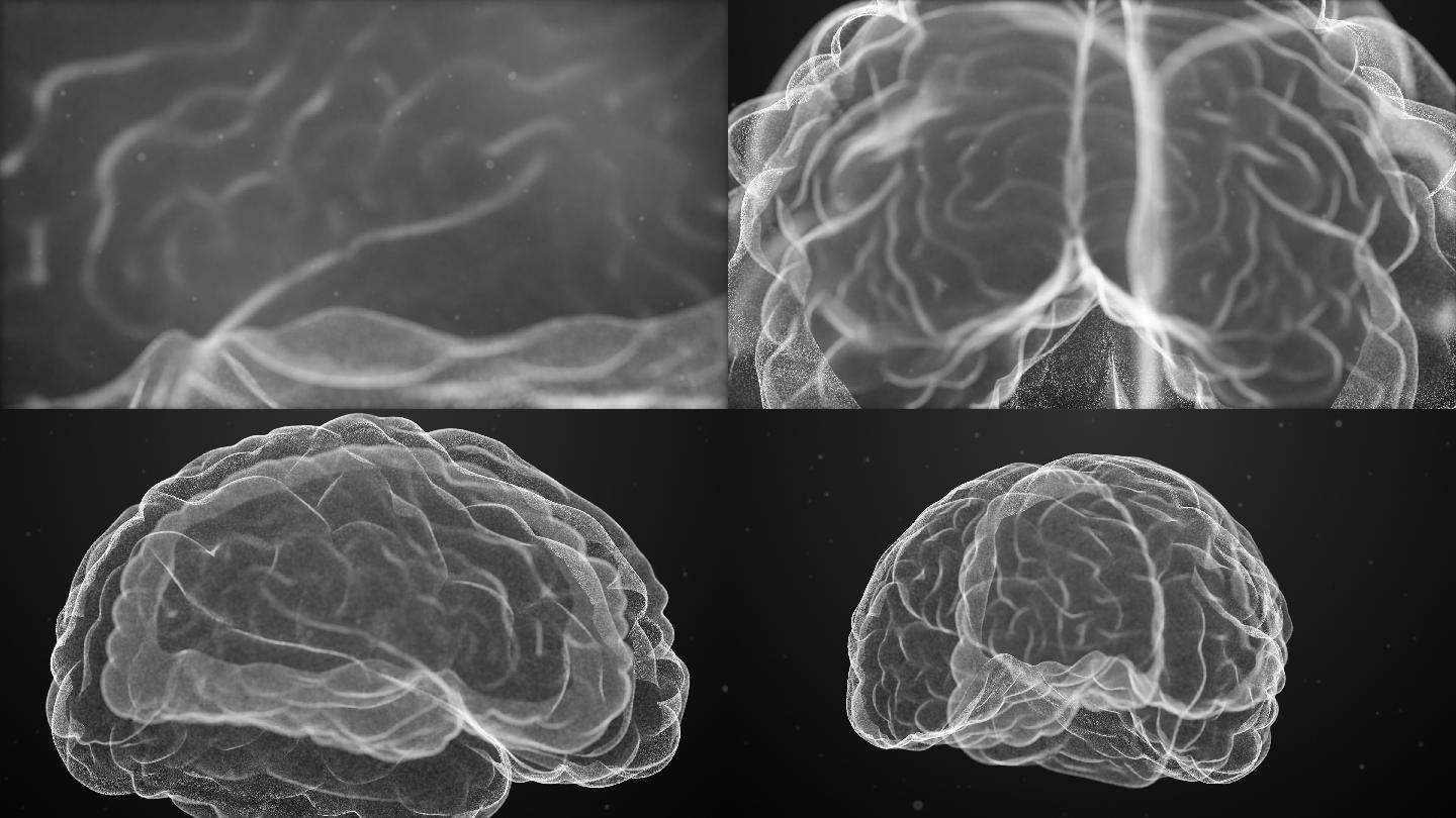 科技人脑扫描-股票视频