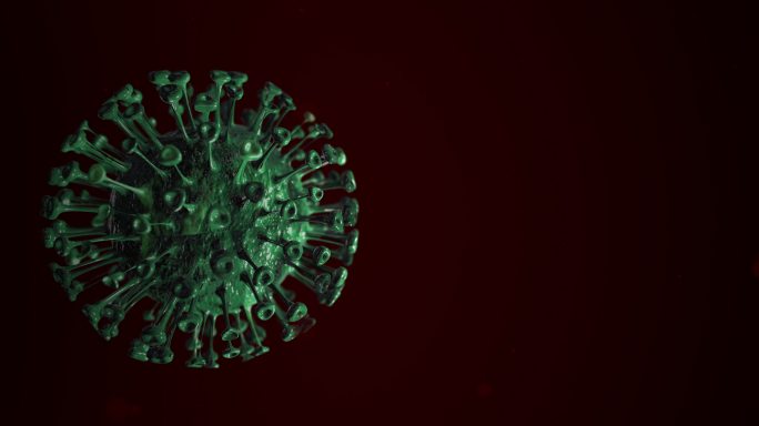 黑色背景下的病毒动画模型