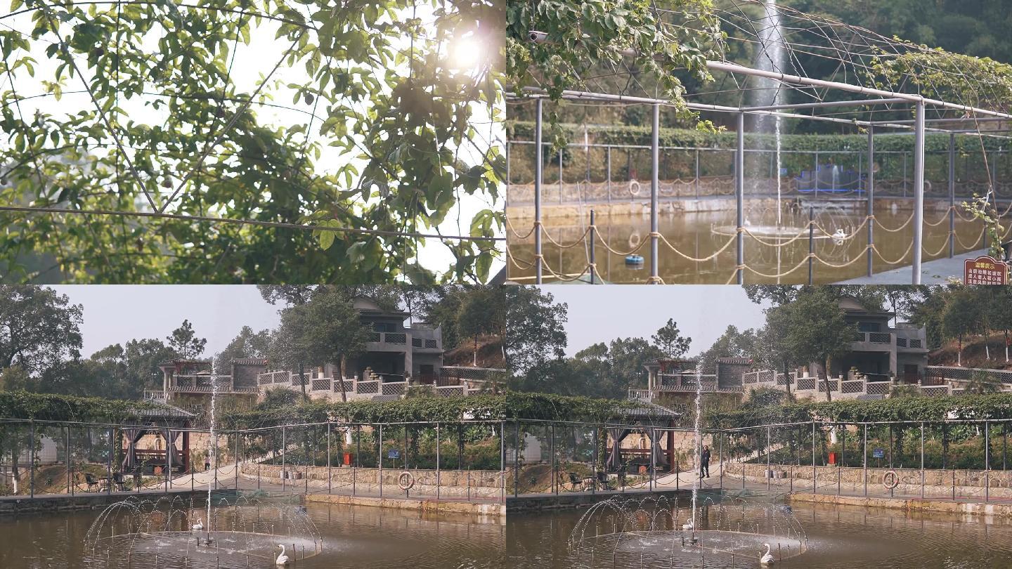 农家乐民宿乡村阳光自然鱼塘喷泉超清空镜
