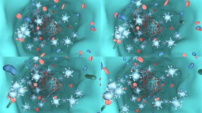血液和病毒细胞在静脉通道中移动
