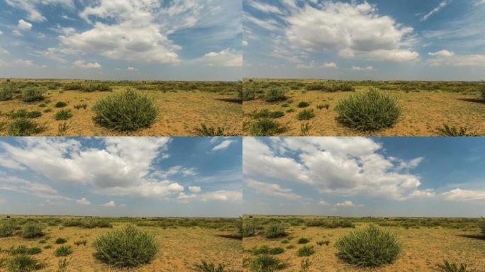 沙漠中的沙柳和天空中的一团跑云