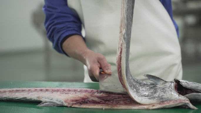 切割鱼肉处理鱼肉素材