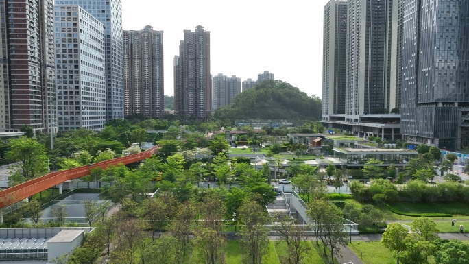 航拍深圳公园绿化