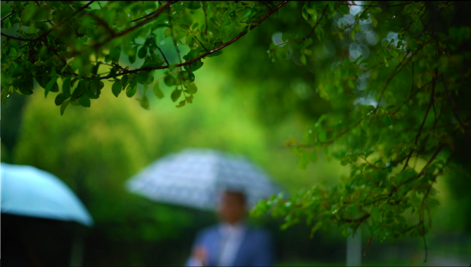 雨天行人