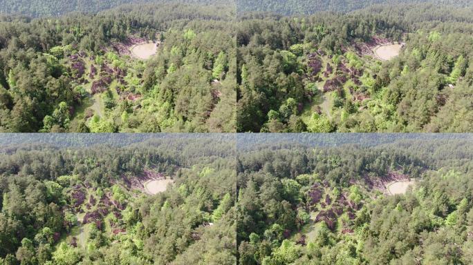 湖南 湘西 红石林 风景区 航拍