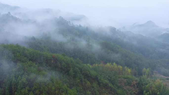 云雾缭绕的群山