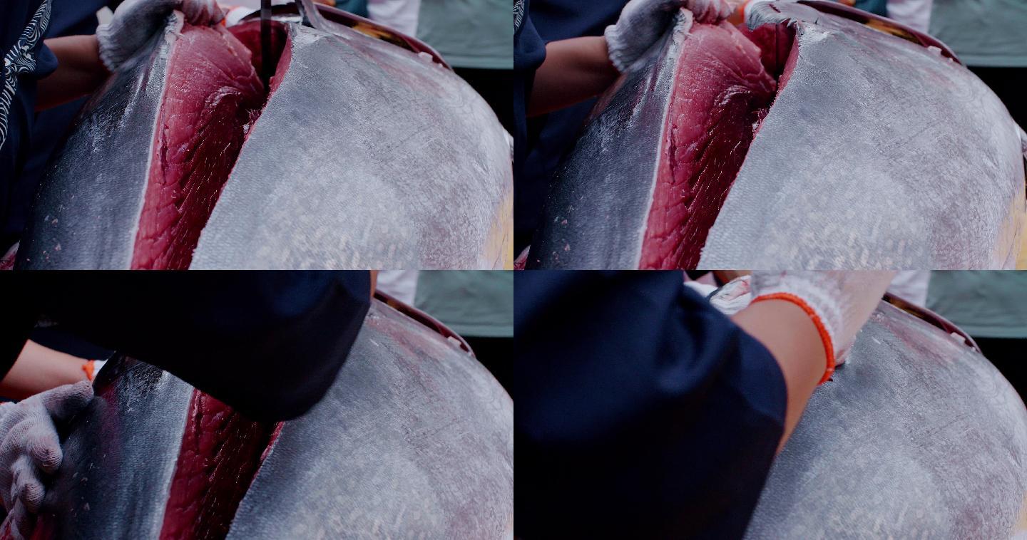 4K蓝鳍金枪鱼解体秀，解剖切割金枪鱼表演