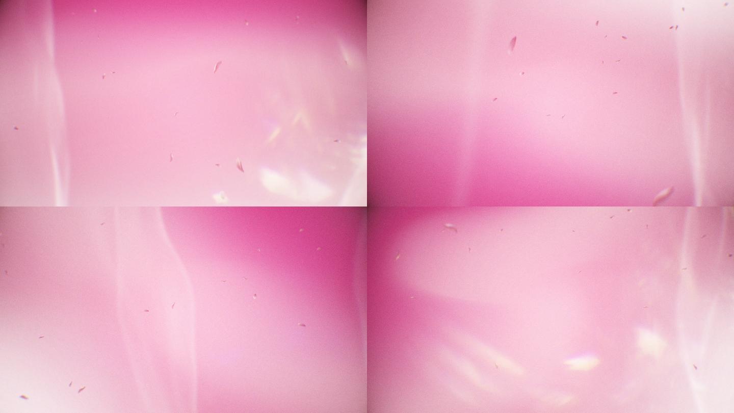 樱花物语-粉色系樱花粒子循环视频背景素材
