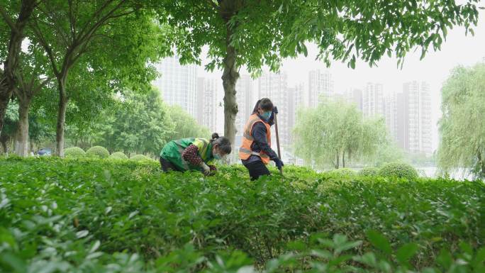 园林绿化-园林工人-种花种树-街心公园