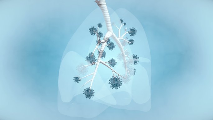 肺大流行疾病——4K分辨率