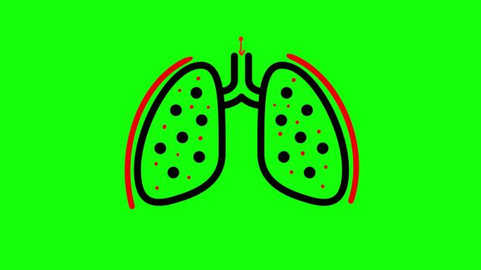 肺部动画肺部感染