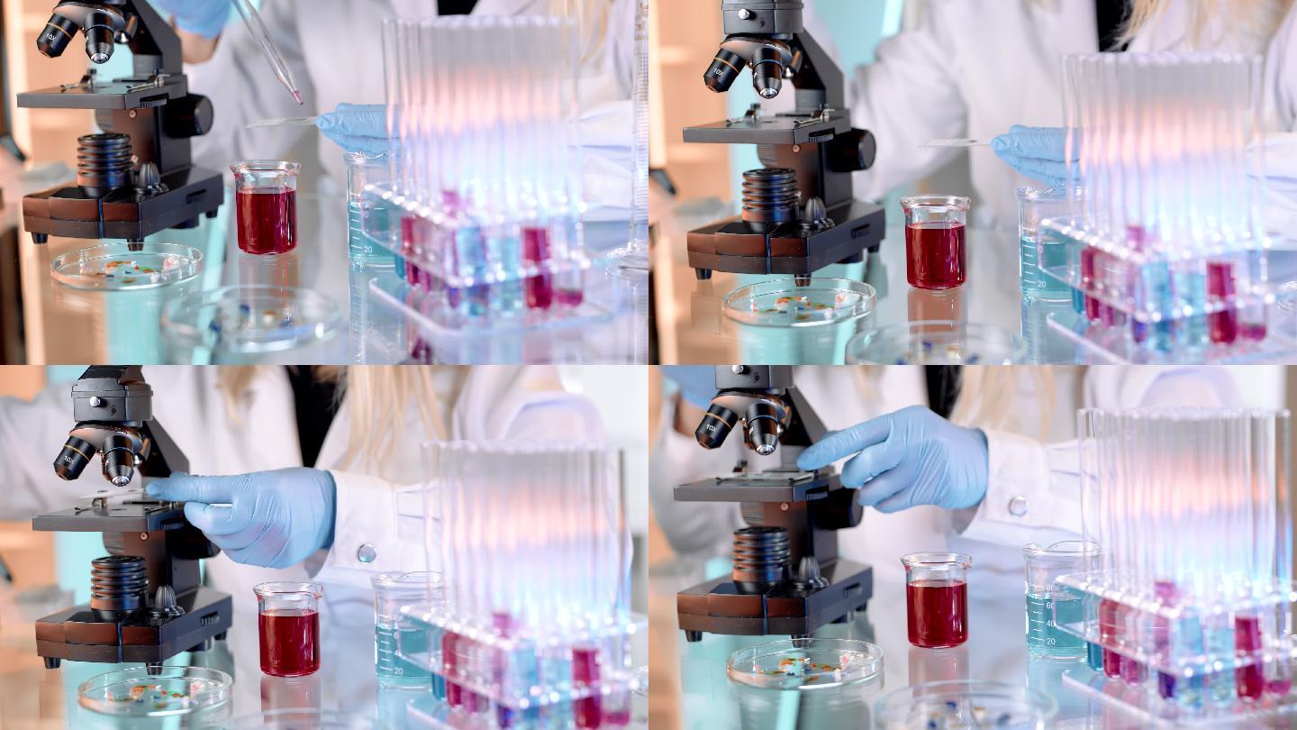 SLO MO女科学家将血液样本滴在显微镜载玻片上进行观察