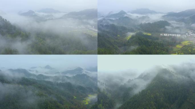 云雾山川森林 南方自然田园