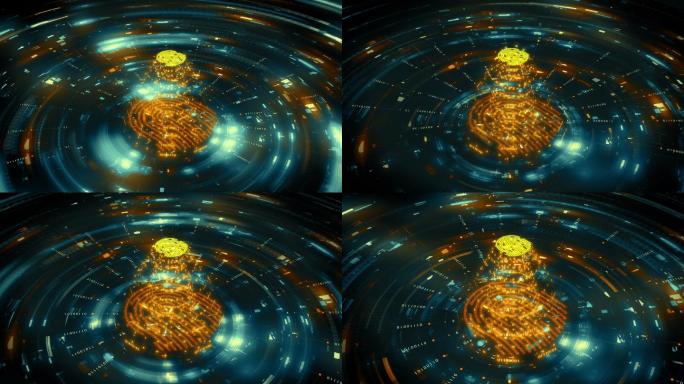 数字指纹扫描验证过程