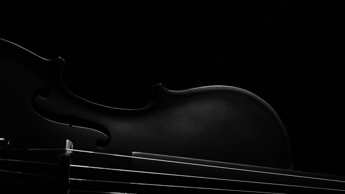 小提琴黑白光影
