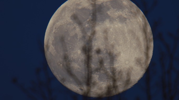 特写：超级月亮的精彩镜头