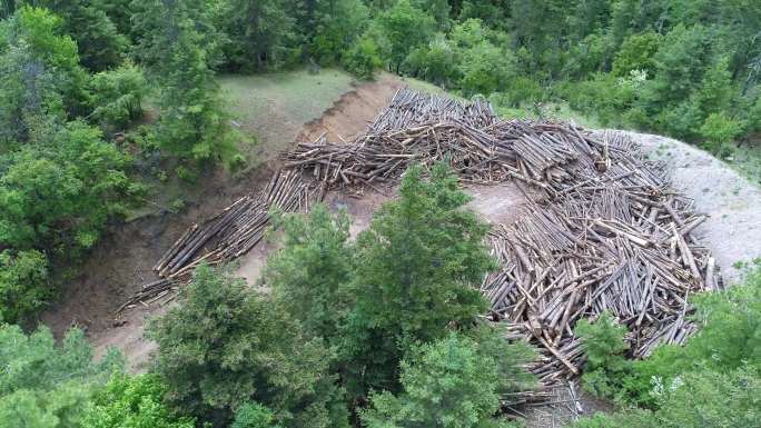 林场堆积林木树木砍伐后航拍4K素材