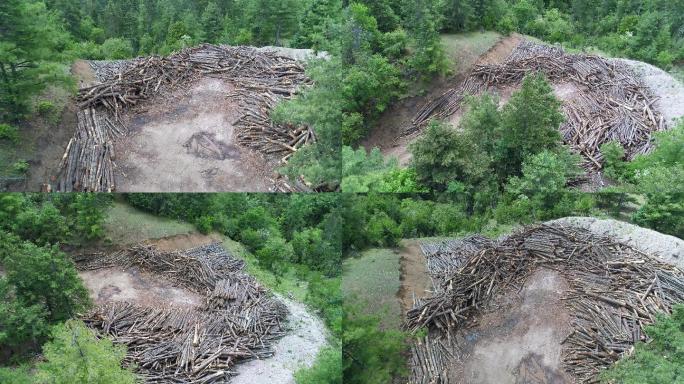 林场堆积林木树木砍伐后航拍4K素材