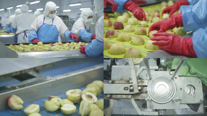 黄桃水果罐头加工生产车间罐头厂自动化