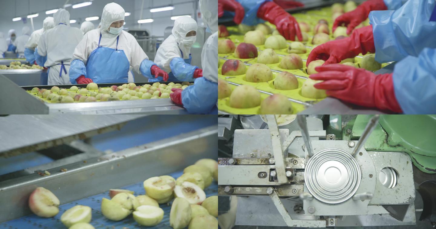 黄桃水果罐头加工生产车间罐头厂自动化