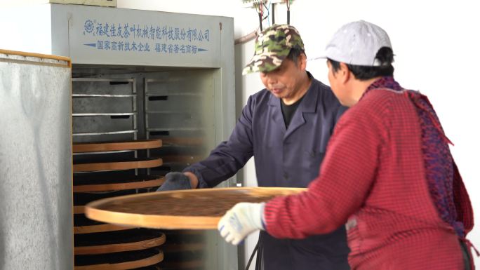 浙江绍兴红茶制作机械机器干燥原素材
