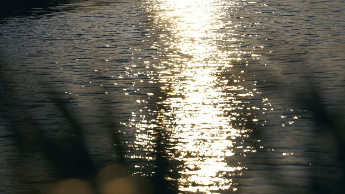 4K夕阳下波光粼粼的水面