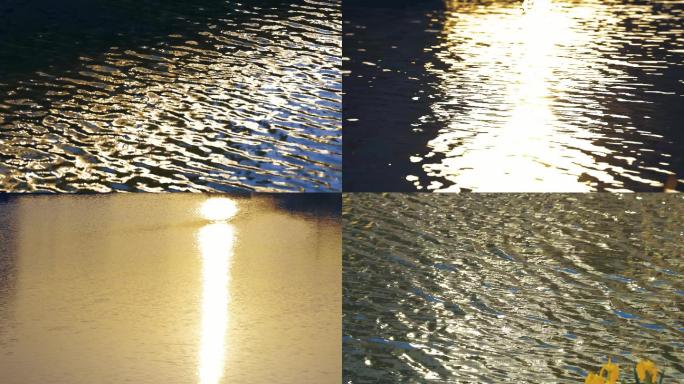 4K夕阳下波光粼粼的水面
