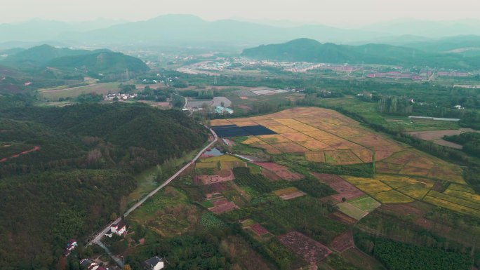 航拍 乡间小路 农田 田地