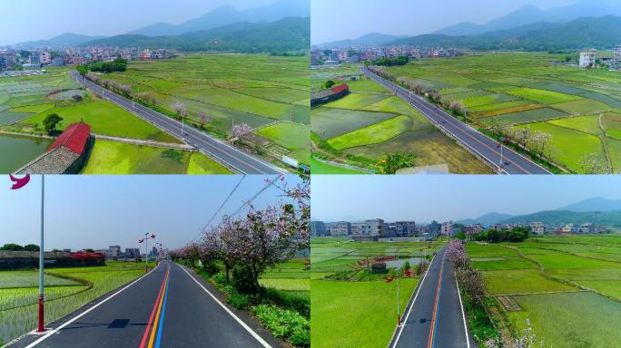 乡村彩虹道路贯穿绿水稻田