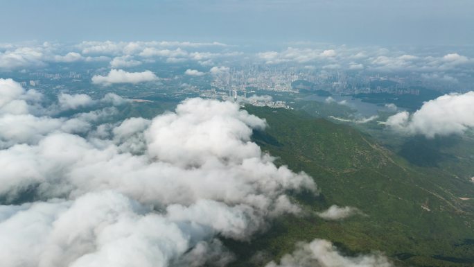 深圳梧桐山云海延时4k