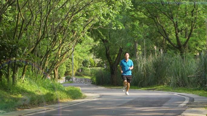 清晨公园跑步锻炼身体美好生活阳光树林晨跑