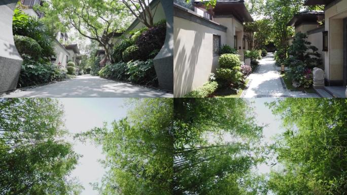 别墅庭院中式唯美竹林景色