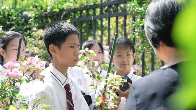 带学生认识植物