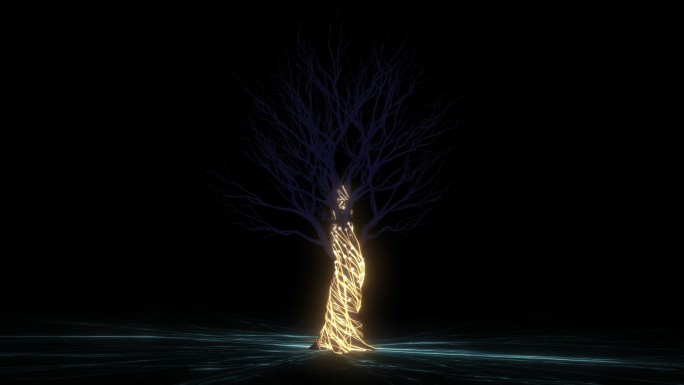 粒子光线大树生长动画