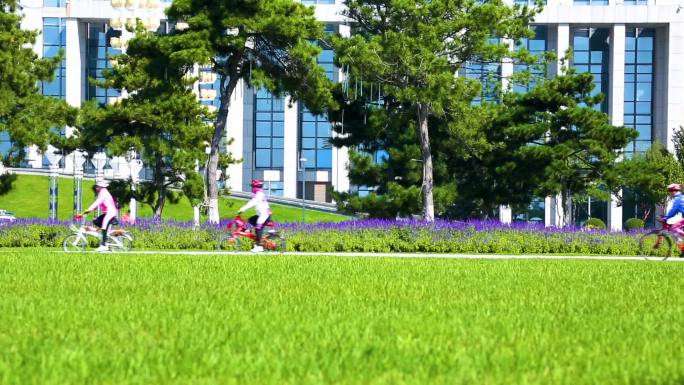 城市绿化 漫步道 休闲