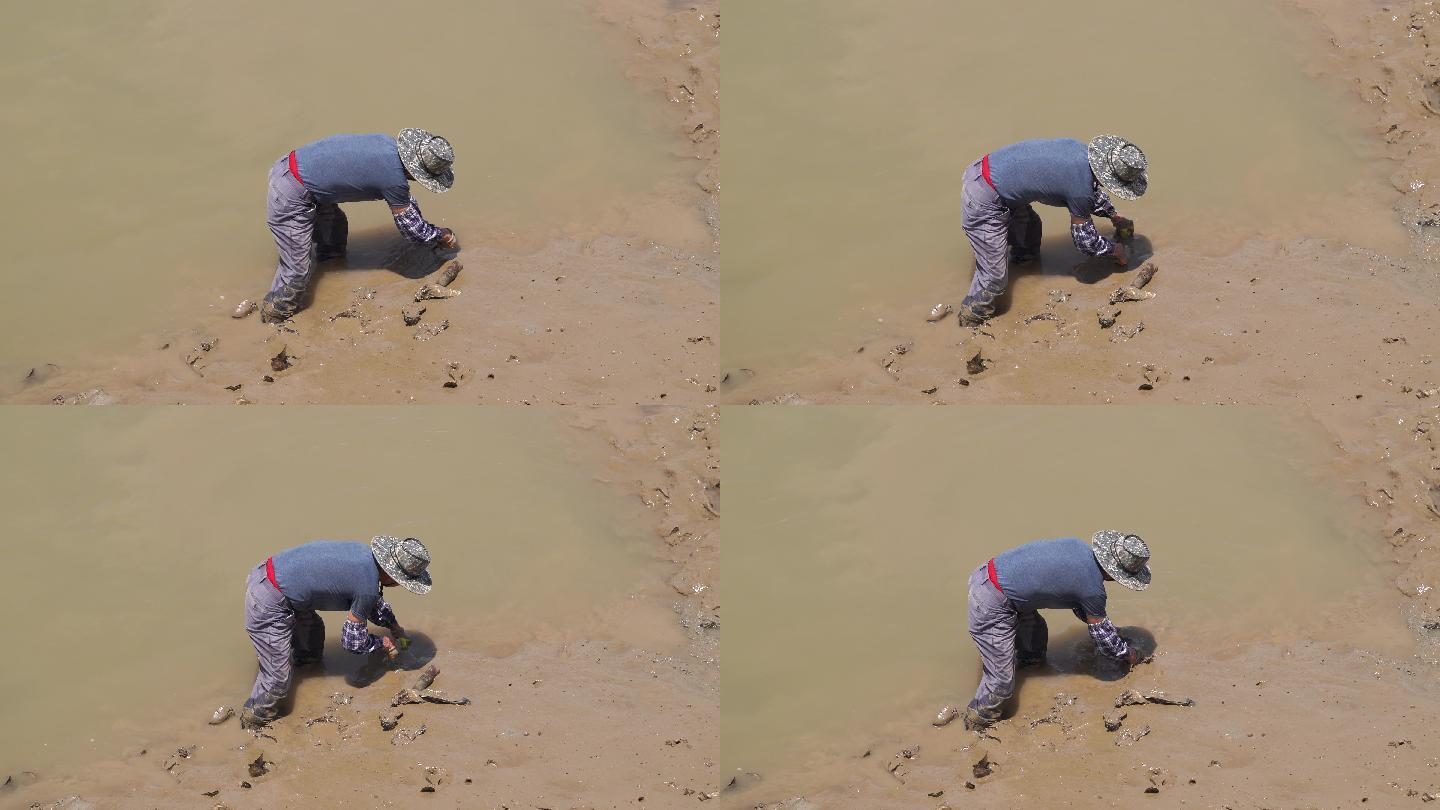 渔民海里河里石头上挖海蛎敲海蛎渔夫赶海