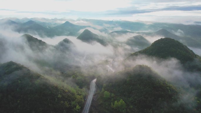 百里杜鹃普底景区云雾缭绕