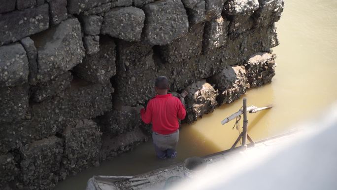 渔民海里河里石头上挖海蛎敲海蛎渔夫赶海