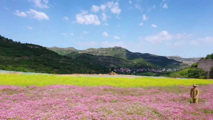 济南南部山区乡村振兴花朵田园野趣绿水青山