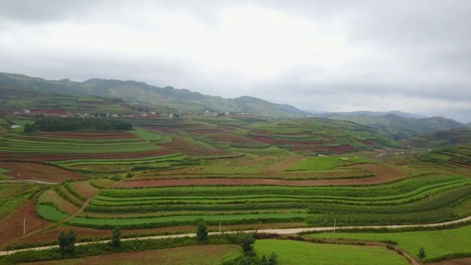 稻田 梯田 乡村景色 航拍A017