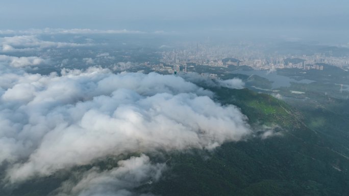 深圳梧桐山云海延时4k