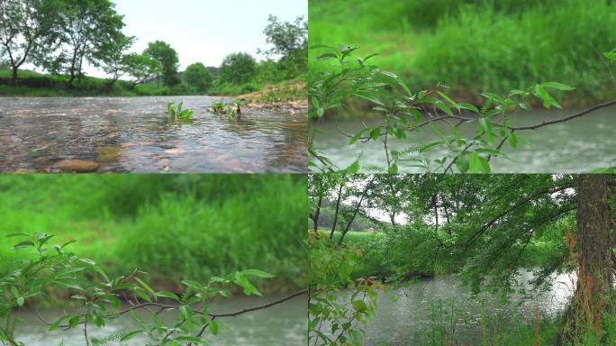 4K实拍农村初夏自然风光河边绿树清水溪流