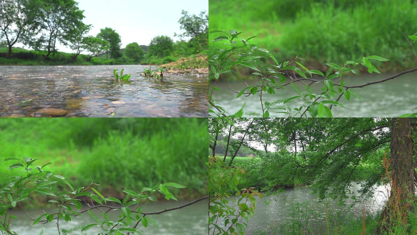 4K实拍农村初夏自然风光河边绿树清水溪流