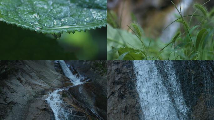 雨滴，小草，晴天蝴蝶，流水瀑布